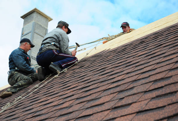 Roof Installation Near Me in Fallon, NV