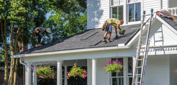 Roof Installation Near Me in Fallon, NV